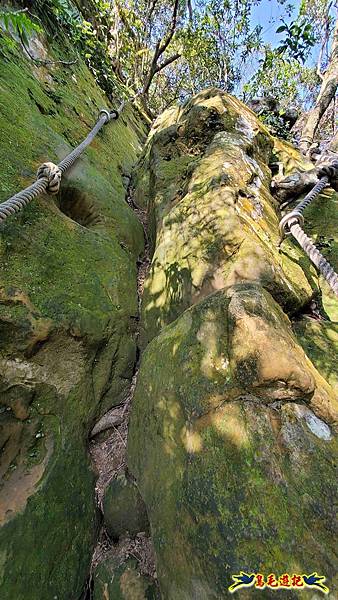 長壽山-成福山-十八羅漢岩-石門內尖山-永寧站 (37).jpg