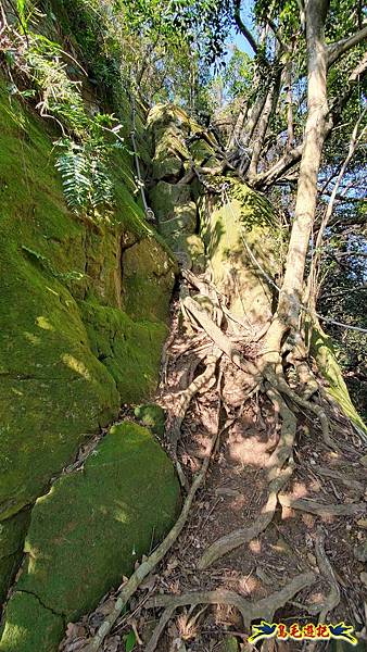 長壽山-成福山-十八羅漢岩-石門內尖山-永寧站 (38).jpg