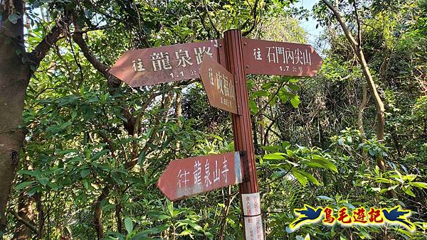 長壽山-成福山-十八羅漢岩-石門內尖山-永寧站 (39).jpg