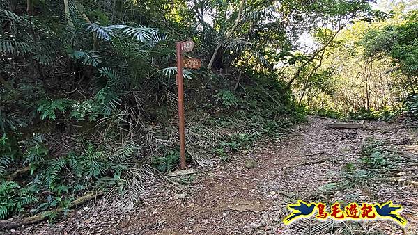 長壽山-成福山-十八羅漢岩-石門內尖山-永寧站 (51).jpg