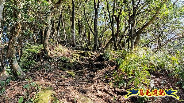 長壽山-成福山-十八羅漢岩-石門內尖山-永寧站 (56).jpg