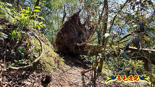 長壽山-成福山-十八羅漢岩-石門內尖山-永寧站 (55).jpg