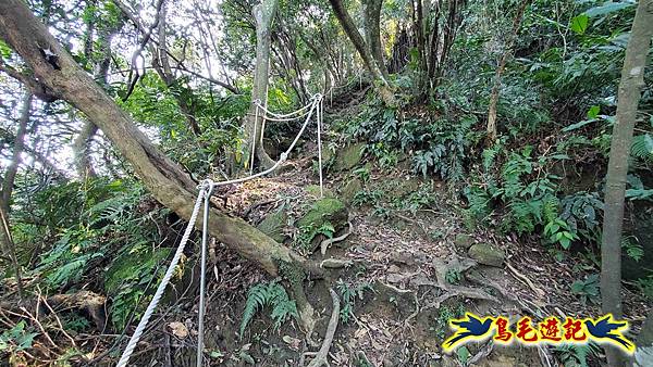 長壽山-成福山-十八羅漢岩-石門內尖山-永寧站 (54).jpg