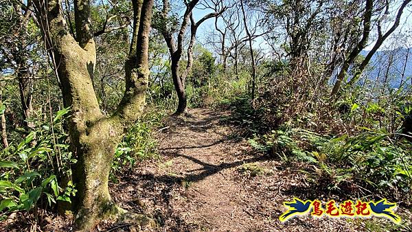 長壽山-成福山-十八羅漢岩-石門內尖山-永寧站 (64).jpg