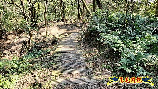 長壽山-成福山-十八羅漢岩-石門內尖山-永寧站 (66).jpg