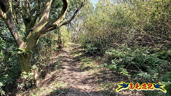 長壽山-成福山-十八羅漢岩-石門內尖山-永寧站 (65).jpg
