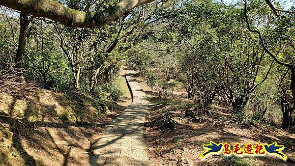 長壽山-成福山-十八羅漢岩-石門內尖山-永寧站 (69).jpg