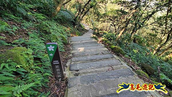 長壽山-成福山-十八羅漢岩-石門內尖山-永寧站 (82).jpg
