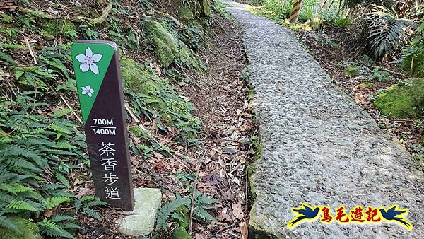 長壽山-成福山-十八羅漢岩-石門內尖山-永寧站 (83).jpg