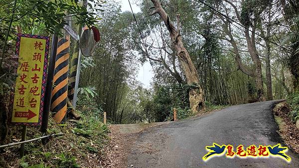 桃園枕頭山砲台步道-枕頭山-西峰P形 (6).jpg