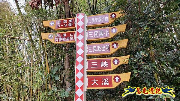 桃園枕頭山砲台步道-枕頭山-西峰P形 (2).jpg