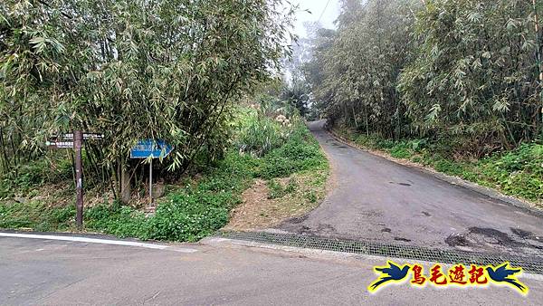 桃園枕頭山砲台步道-枕頭山-西峰P形 (5).jpg