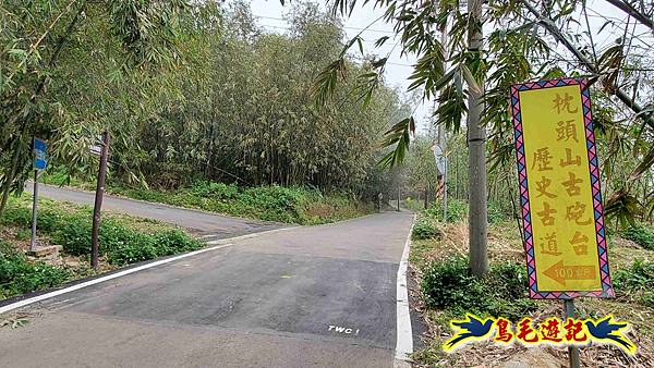 桃園枕頭山砲台步道-枕頭山-西峰P形 (4).jpg