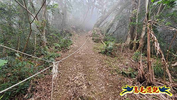 桃園枕頭山砲台步道-枕頭山-西峰P形 (16).jpg
