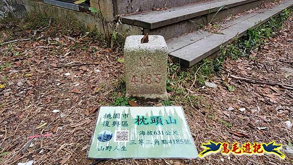 桃園枕頭山砲台步道-枕頭山-西峰P形 (20).jpg