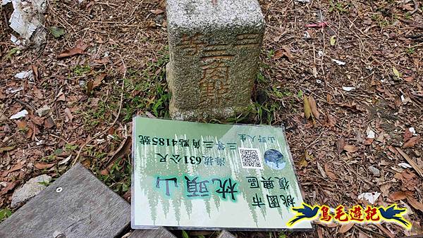 桃園枕頭山砲台步道-枕頭山-西峰P形 (22).jpg