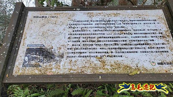 桃園枕頭山砲台步道-枕頭山-西峰P形 (23).jpg