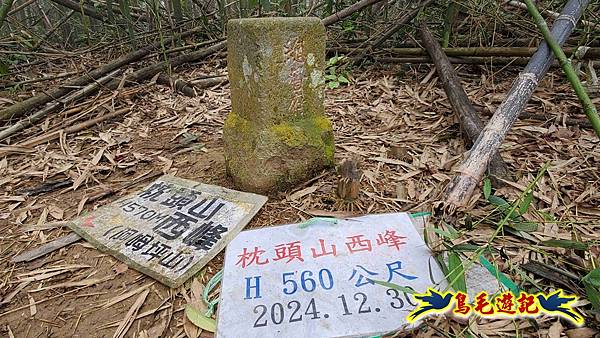 桃園枕頭山砲台步道-枕頭山-西峰P形 (31).jpg