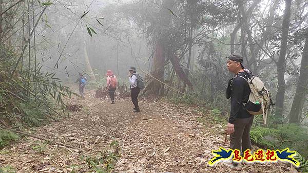 桃園枕頭山砲台步道-枕頭山-西峰P形 (33).jpg