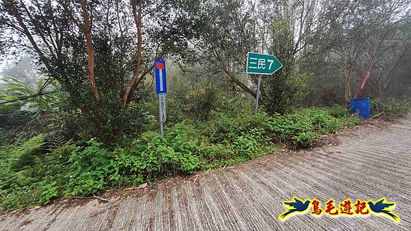 桃園枕頭山砲台步道-枕頭山-西峰P形 (34).jpg