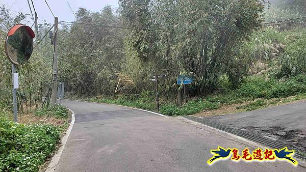 桃園枕頭山砲台步道-枕頭山-西峰P形 (36).jpg