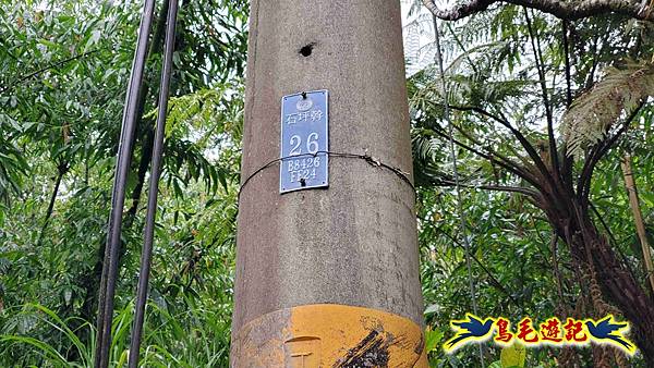 大崙古道崩山大崙熱腸古道石碇大崙縱走 (1).jpg