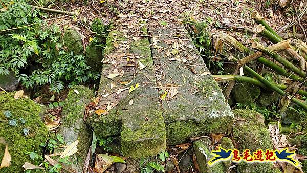 大崙古道崩山大崙熱腸古道石碇大崙縱走 (14).jpg