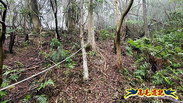 大崙古道崩山大崙熱腸古道石碇大崙縱走 (17).jpg
