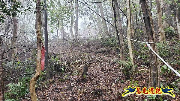 大崙古道崩山大崙熱腸古道石碇大崙縱走 (18).jpg