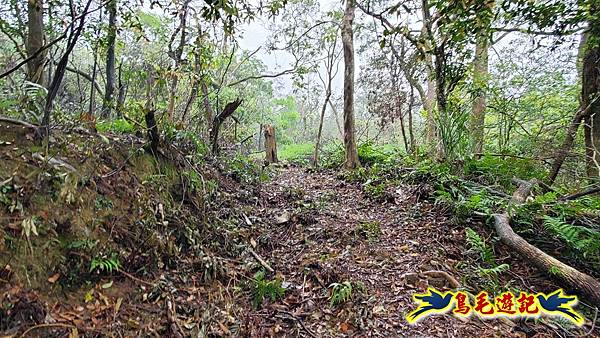 大崙古道崩山大崙熱腸古道石碇大崙縱走 (16).jpg