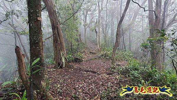 大崙古道崩山大崙熱腸古道石碇大崙縱走 (20).jpg