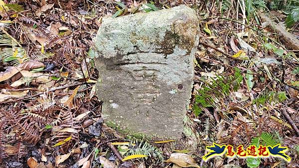 大崙古道崩山大崙熱腸古道石碇大崙縱走 (22).jpg