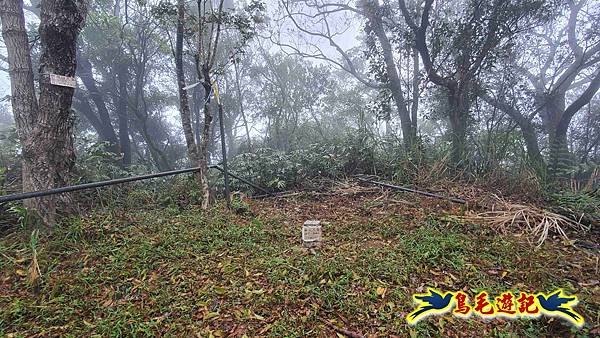 大崙古道崩山大崙熱腸古道石碇大崙縱走 (24).jpg