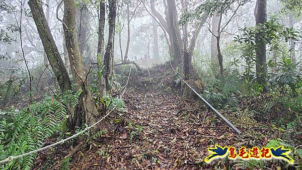 大崙古道崩山大崙熱腸古道石碇大崙縱走 (23).jpg