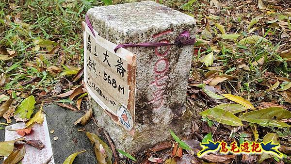 大崙古道崩山大崙熱腸古道石碇大崙縱走 (27).jpg