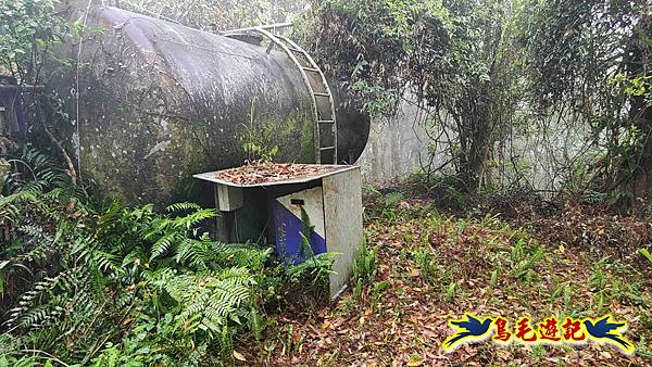 大崙古道崩山大崙熱腸古道石碇大崙縱走 (30).jpg