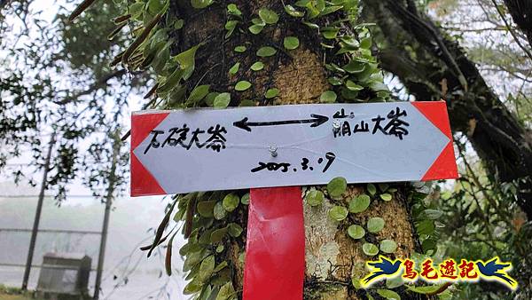 大崙古道崩山大崙熱腸古道石碇大崙縱走 (33).jpg