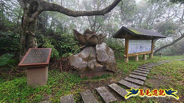 大崙古道崩山大崙熱腸古道石碇大崙縱走 (35).jpg