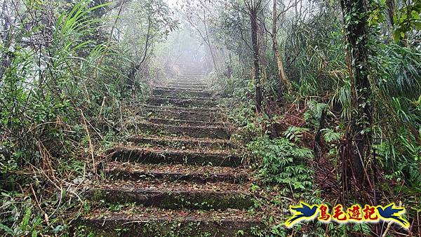 大崙古道崩山大崙熱腸古道石碇大崙縱走 (40).jpg