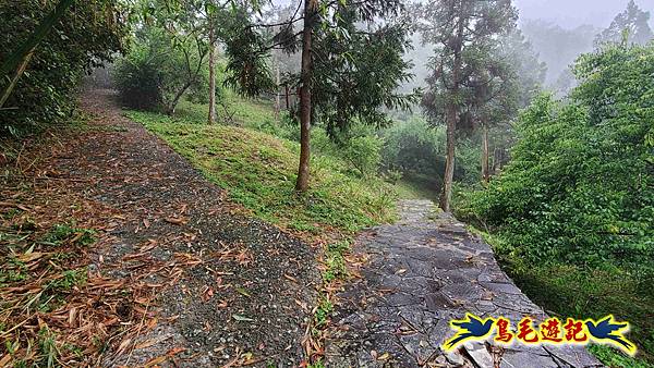 大崙古道崩山大崙熱腸古道石碇大崙縱走 (38).jpg