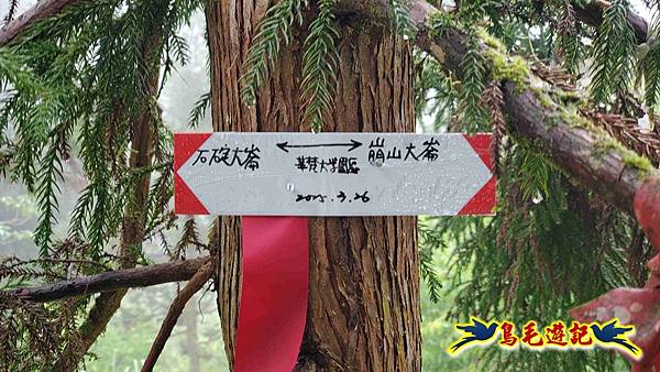 大崙古道崩山大崙熱腸古道石碇大崙縱走 (39).jpg