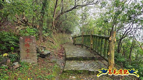 大崙古道崩山大崙熱腸古道石碇大崙縱走 (37).jpg