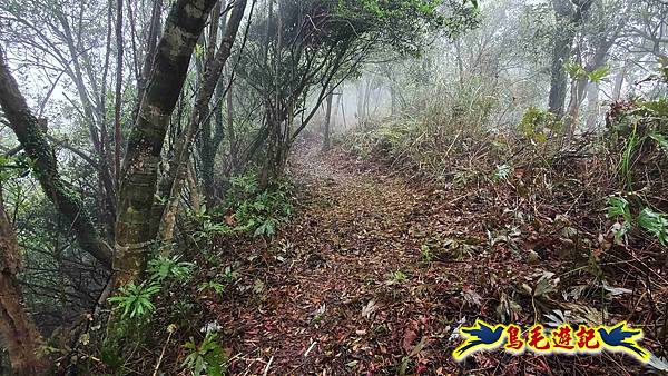 大崙古道崩山大崙熱腸古道石碇大崙縱走 (41).jpg