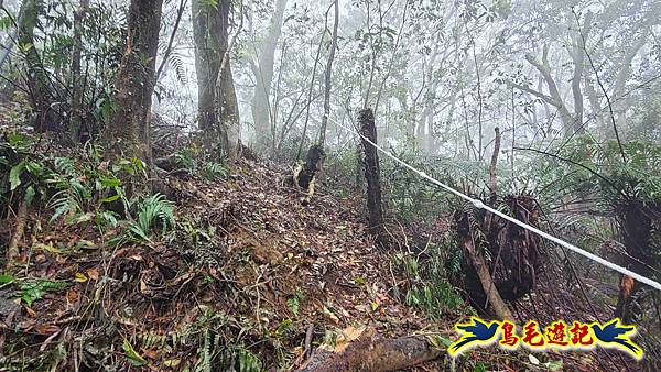大崙古道崩山大崙熱腸古道石碇大崙縱走 (45).jpg