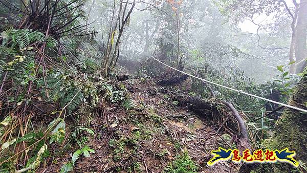 大崙古道崩山大崙熱腸古道石碇大崙縱走 (44).jpg