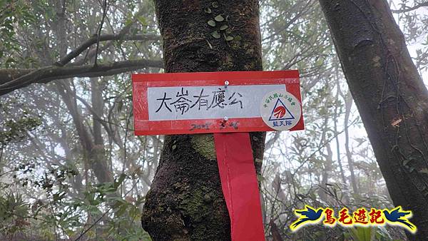 大崙古道崩山大崙熱腸古道石碇大崙縱走 (50).jpg