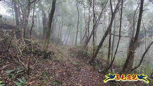 大崙古道崩山大崙熱腸古道石碇大崙縱走 (48).jpg