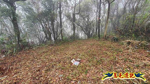 大崙古道崩山大崙熱腸古道石碇大崙縱走 (52).jpg