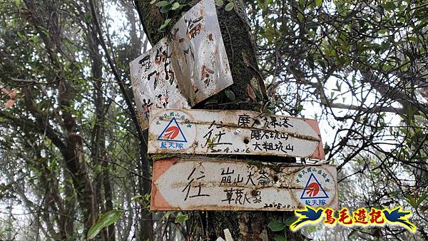 大崙古道崩山大崙熱腸古道石碇大崙縱走 (53).jpg