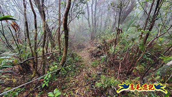 大崙古道崩山大崙熱腸古道石碇大崙縱走 (54).jpg